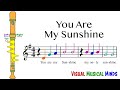 You are my sunshine for recorder