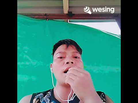 Dua insan yang terluka cover setarius kevin