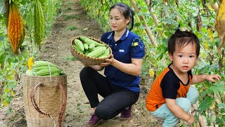 Harvest Bitter Melon Goes To Market Sell  Cooking With My Daughter  Lý Phúc An