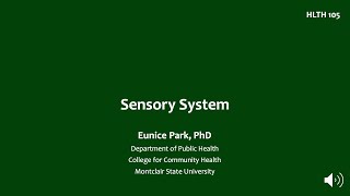 3 Sensory System