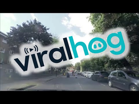 Heroic Bystander Takes Down Moped Criminals || ViralHog