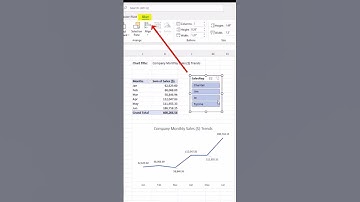 Add Slicer to PivotTable & Chart To Enable Quick Analysis Excel Short Magic Trick 74