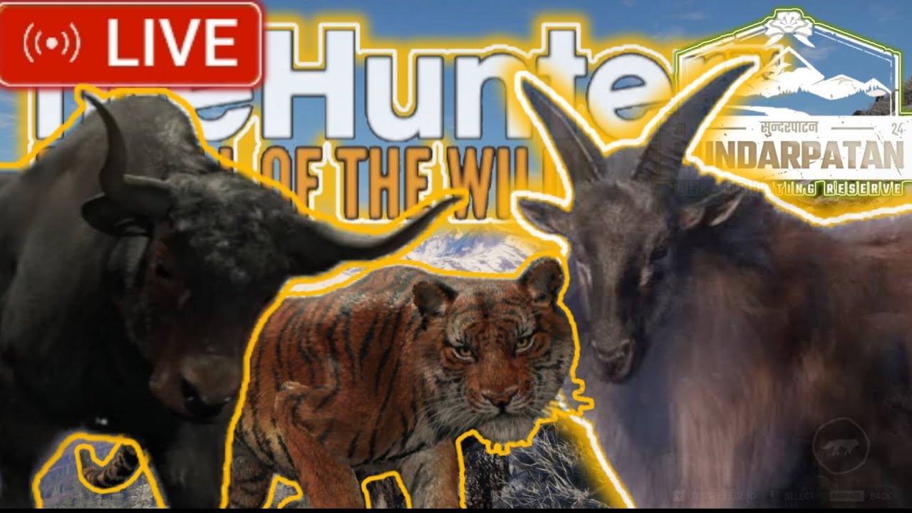 [live] Sundarpatan Nepal -The Hunter Call of the wild, Finding TAHR ...