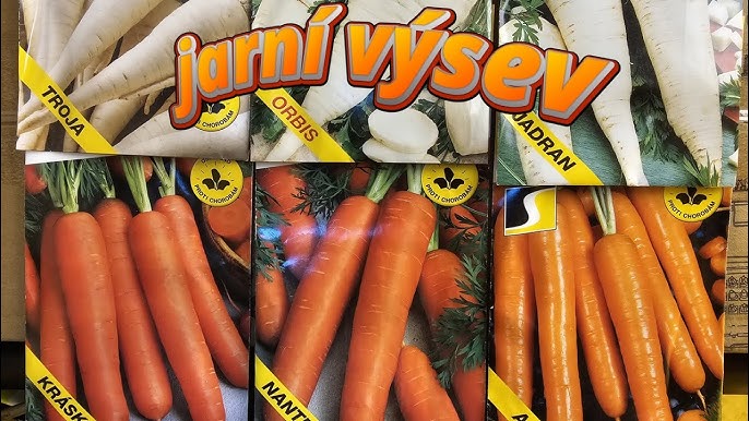 Kdy Sit Mrkev A Petrzel