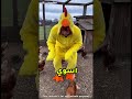 A Funny Situation He Pretended To Be A Chicken In Front Of Them And Ran Away Quickly 