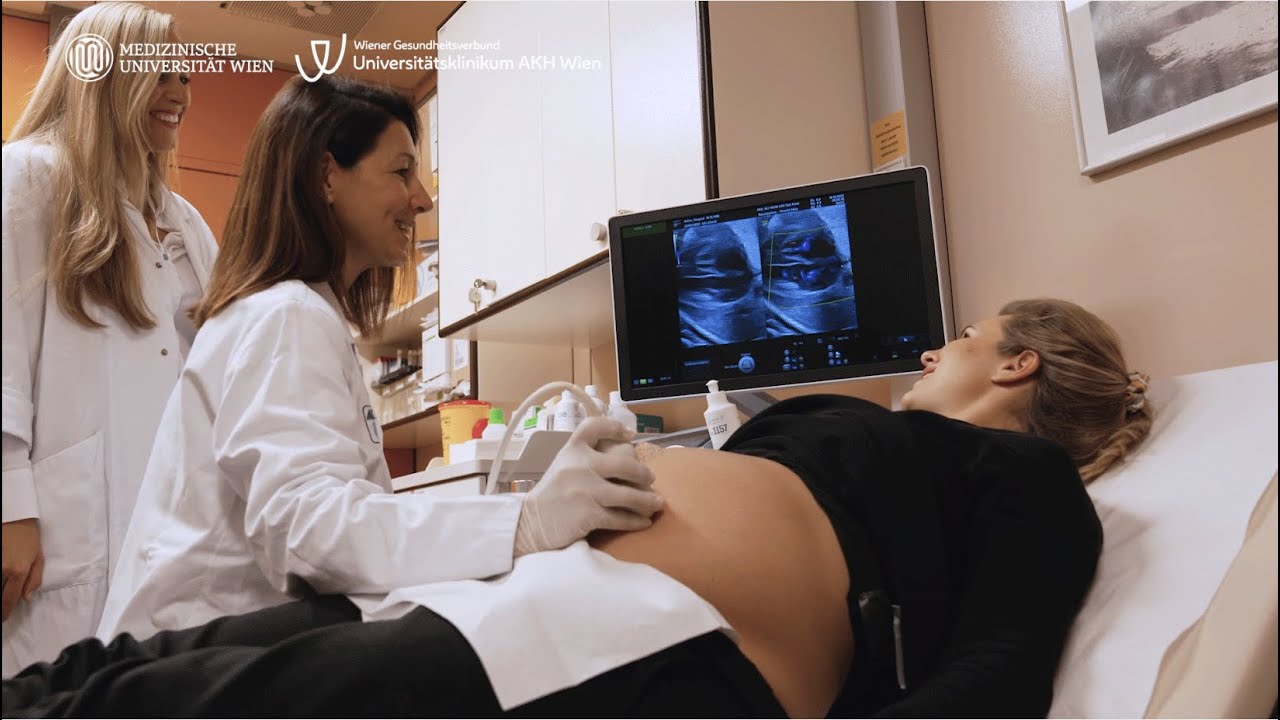 Von der Schwangerschaft bis zur Geburt am AKH Wien.