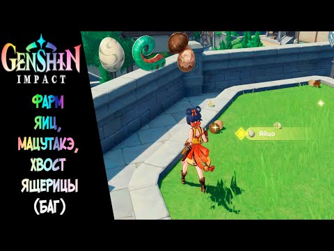 [Genshin Impact] Фарм Яиц, Мацутакэ, Хвост Ящерицы(Баг) | Farm Bird Egg, Matsutake, Lizard Tail(Bug)