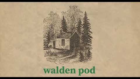 Nino Kadic on the Combination Problem for Panpsychism