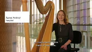 The harp is looking for friends – Contribute to a new harp for the 40-year-old BFO!
