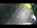 【歌ってみた50♂】木漏れ日の風に吹かれ【カラオケ練習】