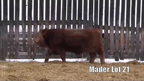 Mader Lot 21