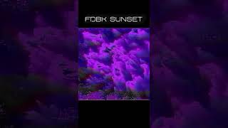 Feedback Sunset screenshot 5