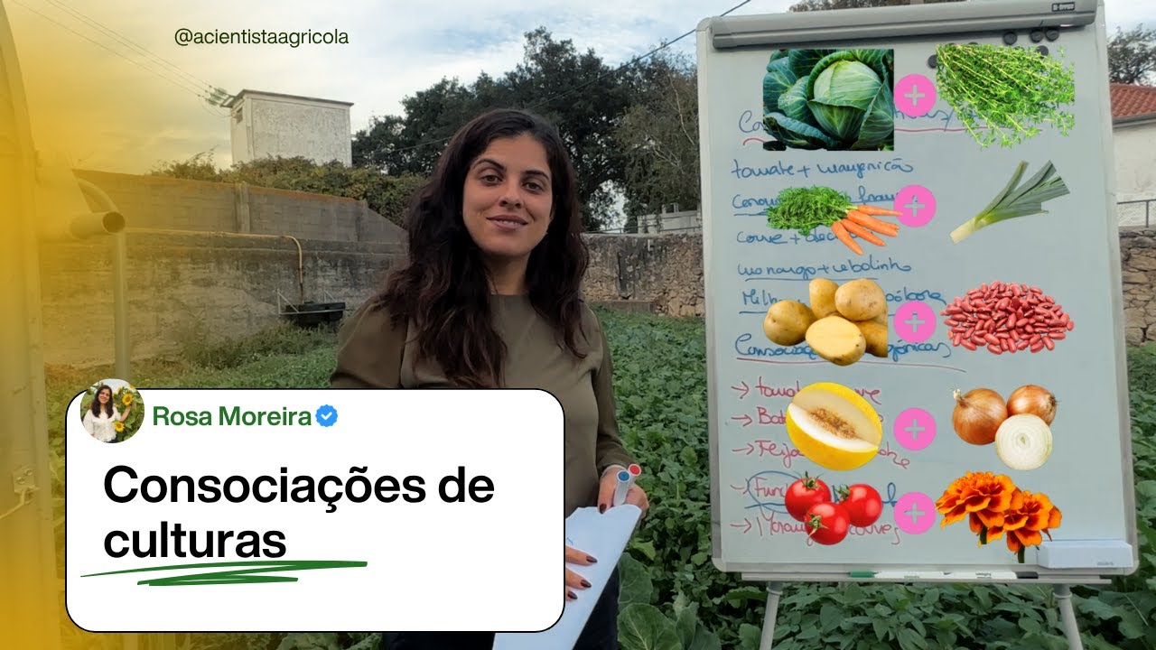 #5: Quais as plantas que podem (e não podem) plantar juntas