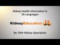 Improve kidney health prevention tips by 100 kidney experts