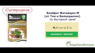 Узнайте как избавиться от Белокрылки и Тли. Купить Фитоверм-М(Узнайте как избавиться от Белокрылки и Тли. Купить Фитоверм-М https://agrozahyst.com.ua/bioshchit-fitoverm-m-ot-tli-i-belokrylki Решив..., 2016-06-08T13:44:43.000Z)