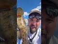 Попче на силикон!!! #twitchfishingshop #риболов #магазинзариблов