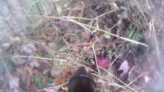 CLIP0024.MP4