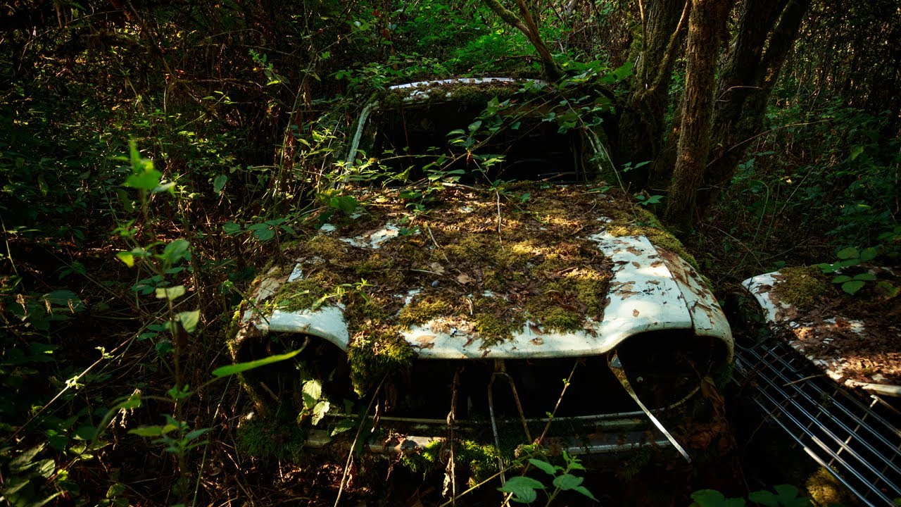 Chasseurs d'épaves - Des trésors dans une Maison Diogène & une Ferme en Ruine / URBEX MOOD 2022