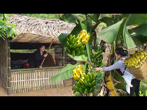190 Days: The Life of a 18-Year-Old Single Mom - Building a Bamboo House, Harvest & Raising Child