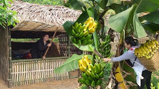 190 Days The Life Of A 18-Year-Old Single Mom - Building A Bamboo House Harvest Raising Child