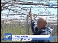Смотрите на КРТ Сад огород 
