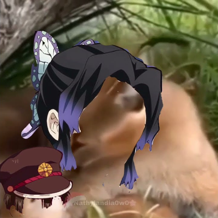 Moshi Moshi Shinobu y Hanako
