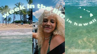 week in the life in hawaii // university of hawaii vlog
