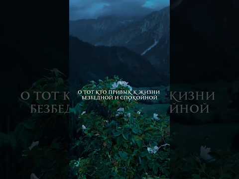 عشقوا الحياة أبية فقلوبهم قصيدة поэма