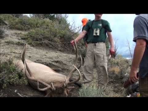 Brad Weber Book Cliffs Elk Hunt 2009 16