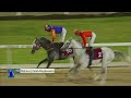 RM 31  Al Rayyan Race 3 -   Umm Al Zubar Cup