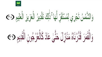 تلاوة سورة يس الآية ٣٦ إلى ٤٥