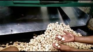 Dough ball cutting machine papad ball cutting machine