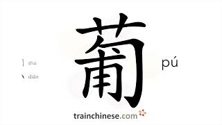 How to write 葡 (pú) – grape – stroke order, radical, examples and spoken audio