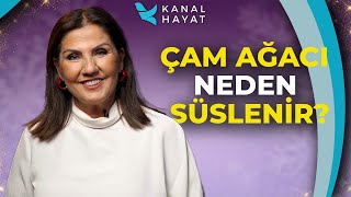 Noel Ağacı Ve İsa Mesih: Şaşırtıcı Gerçek Kanal Hayat