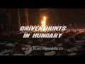 Driven Hunts In Hungary