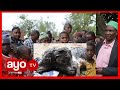 MAAJABU NG OMBE AZAA KIUMBE CHA AJABU WANANCHI WAKUMBWA NA TAHARUKI MAAJABU NG OMBE AZAA KIUMBE CHA AJABU WANANCHI WAKUMBWA NA TAHARUKI