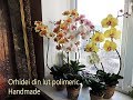 Cinci ghivece cu orhidei handmade din argila polimerica.