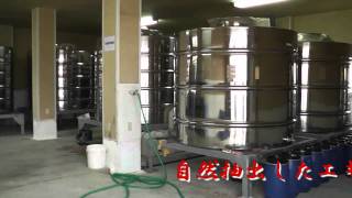 沖縄ノニジュース製造工程