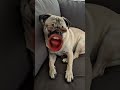 #funny