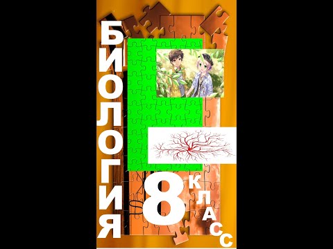 § 14 Орган зрения и зрительный анализатор