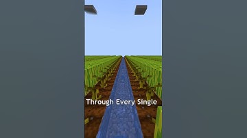 The MOST SECURE Melon Farm