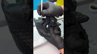 Part Three Samurai Mask Eating Dragon Fish Printed On The M3 Premium With Abs-Like Resin By Anycubic