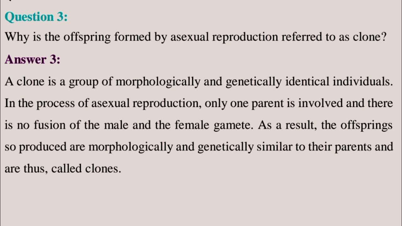 Why is the offspring formed by asexual reproduction referred to as