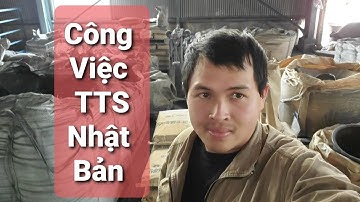 Công Việc Thực Tập Sinh Làm Việc Tại Nhật Bản Có Vất Vả Không | Công Việc Và Cuộc Sống Nhật Bản