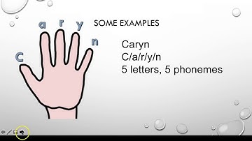 Components of Language