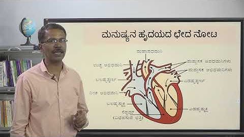 Samveda - 10th - Science - Jeeva Kriyegalu (Part 3 of 5) - Day 20