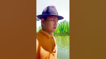 Rừng dừa nước Tinh Khê.#viralvideo , #trending