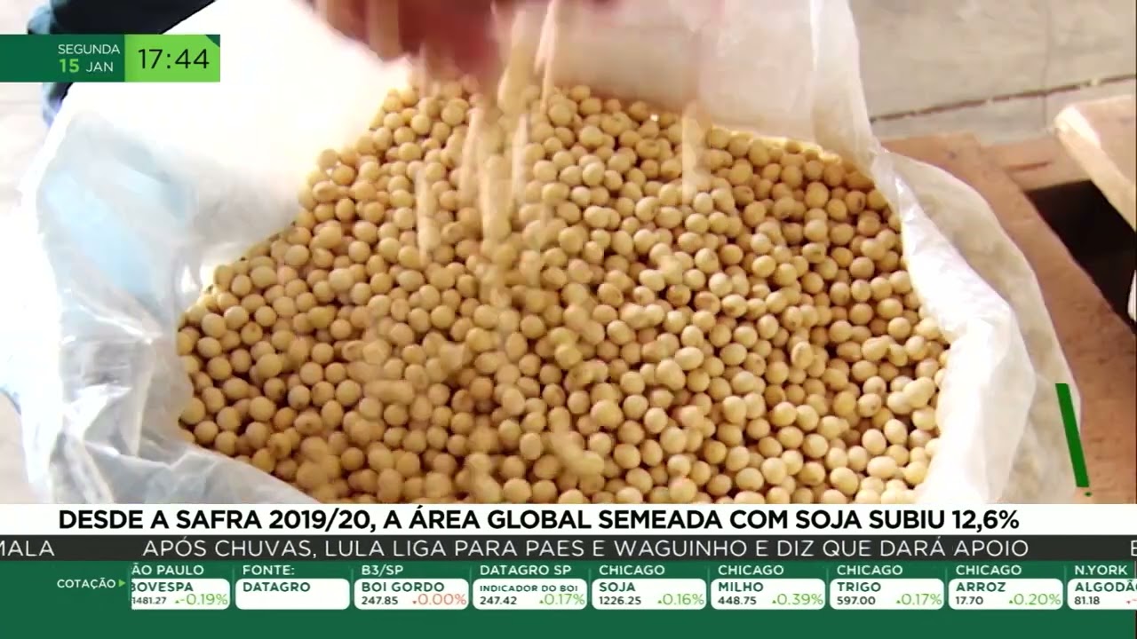 Desde a safra 2019/20, a área global semeada com soja subiu 12,6%