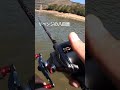 #バス釣り #bassfishing #bigbait #cauca #fishing #fishingdaily #gancraft #jointedclaw #mancing #zeros