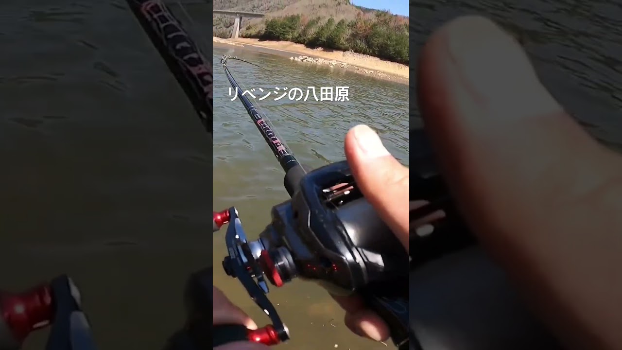 #バス釣り #bassfishing #bigbait #cauca #fishing #fishingdaily #gancraft #jointedclaw #mancing #zeros